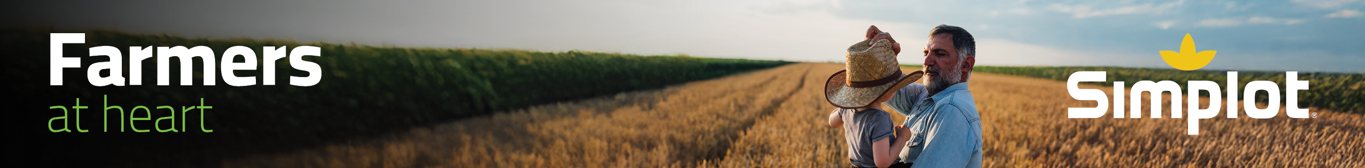 Festival Challenge Matches