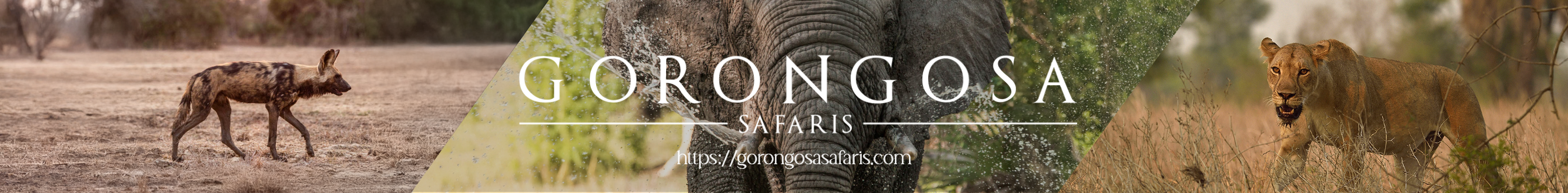 Gorongosa Safaris