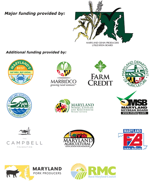 MFH Sponsors Season 13