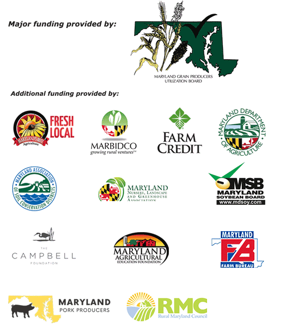 MFH Sponsors Season 13