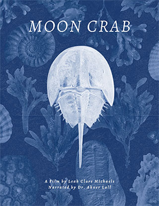 Moon Crab