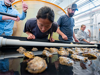 Maryland Farm and Harvest Episode 1304