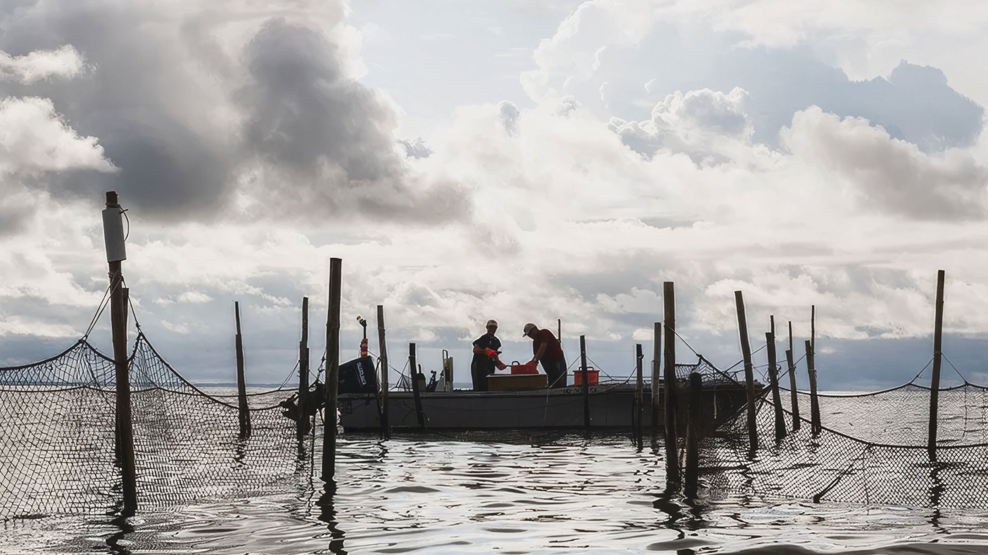 Visions of the Chesapeake