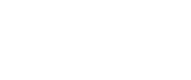 Napoleon Experience Logo