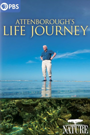 Nature: Attenborough's Life Journey