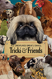 All Creatures Great and Small: Tricki and Friends