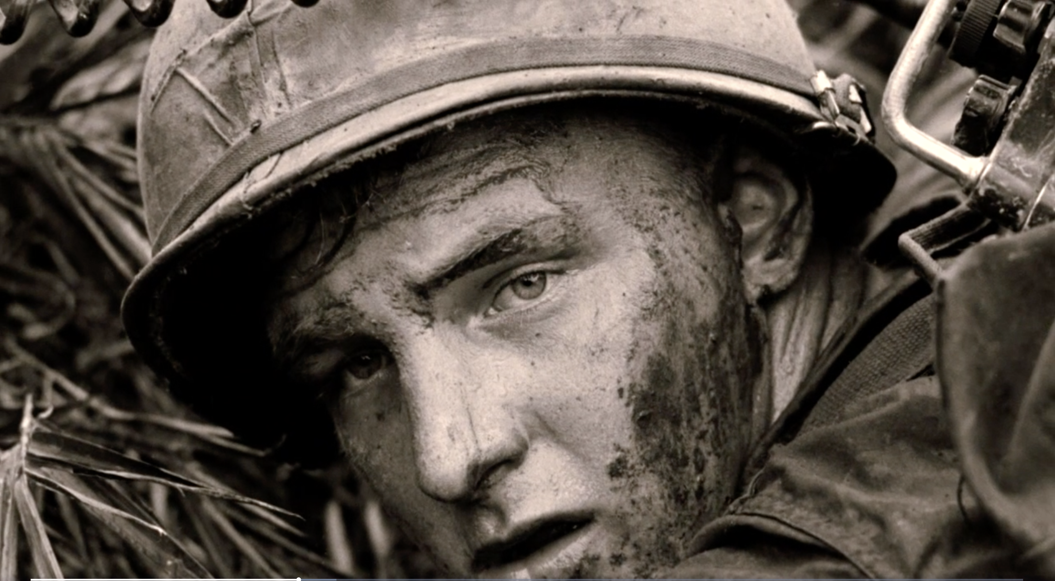 The Vietnam War