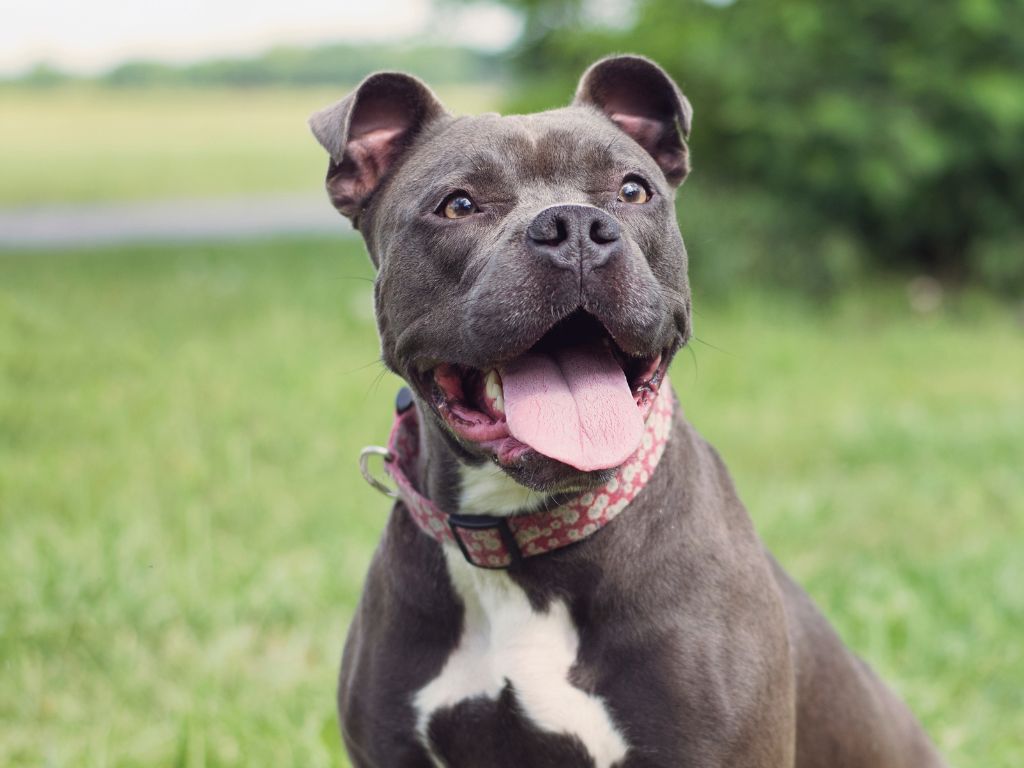 Rick Steves holding a wine glass