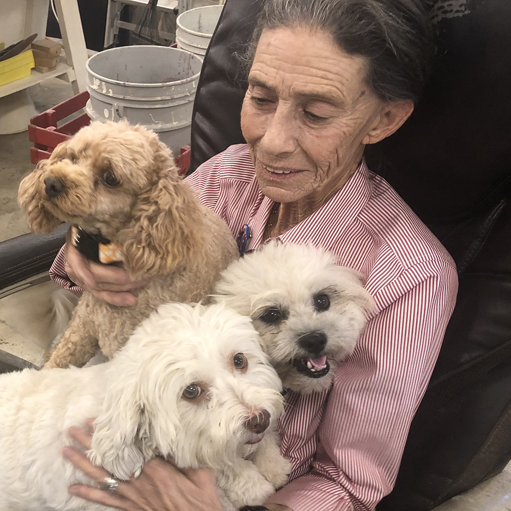 Jan Mitchell pictured with dogs