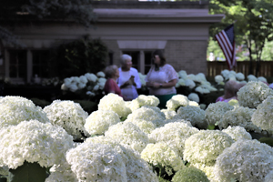 WTVP Garden Party