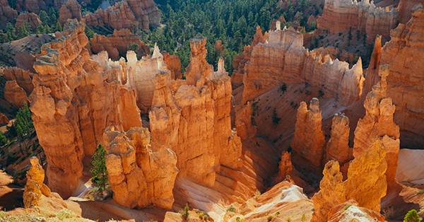 Red rock hoodoos in Bryce Canyon National Park with green trees in the background.