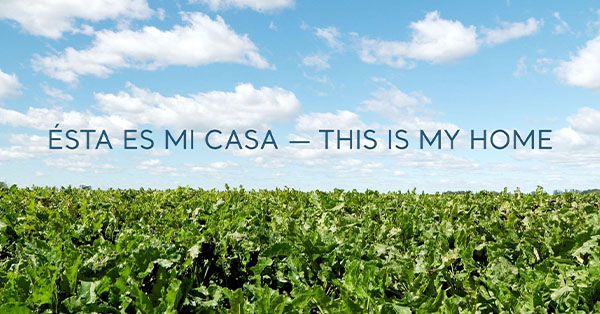 Field under blue sky with text: Ésta es mi casa — This is my home.