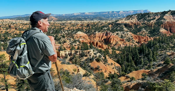 Man with backpack and walking stick overlooks a vast canyon landscape with rock formations and trees under a clear blue sky.