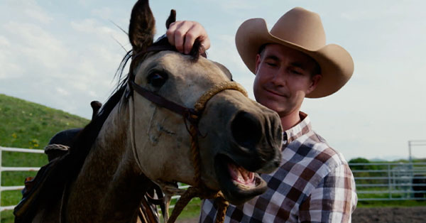A man scratching a horses head.