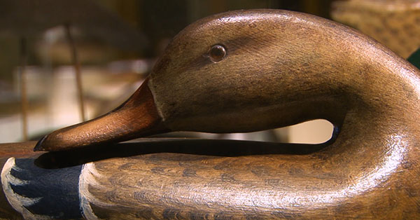 Close up of a duck decoy.