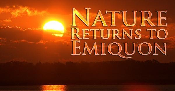 Promotional image for Nature Returns to Emiquon showing a bright orange sunset over a calm body of water with a dark tree-lined horizon. The title 